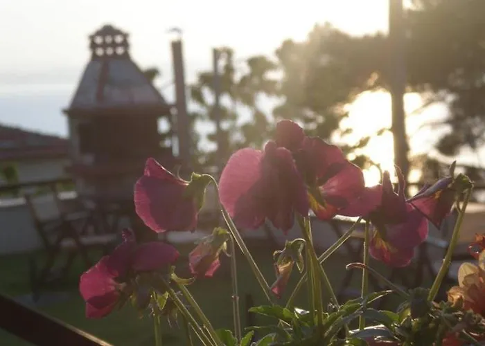 Smaragdi Luxury スカラ・ソティロス